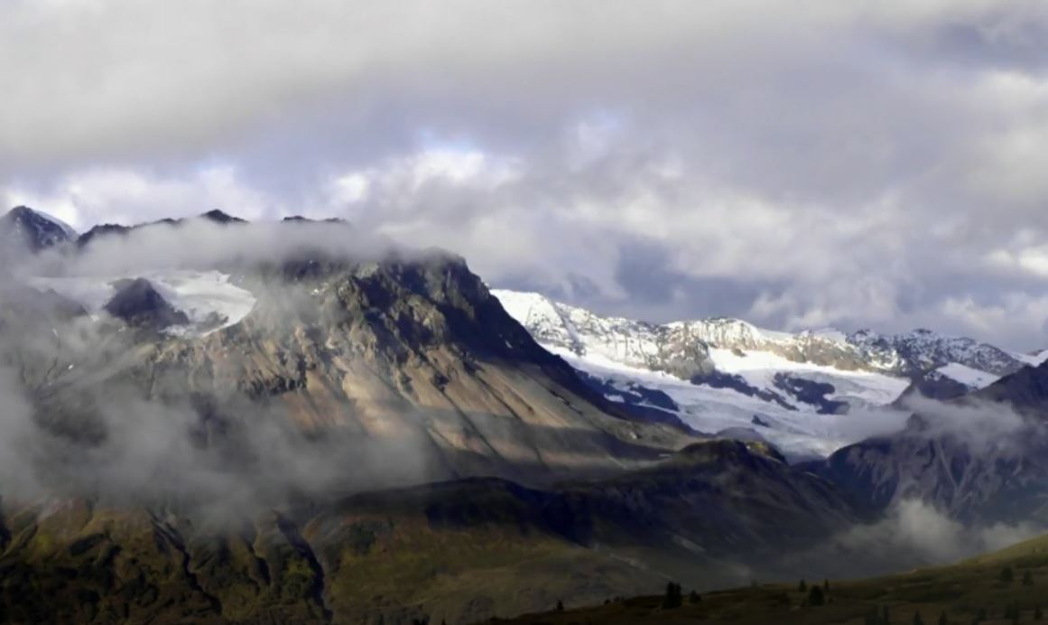 Yukon Wild: Arctic Secrets Series.