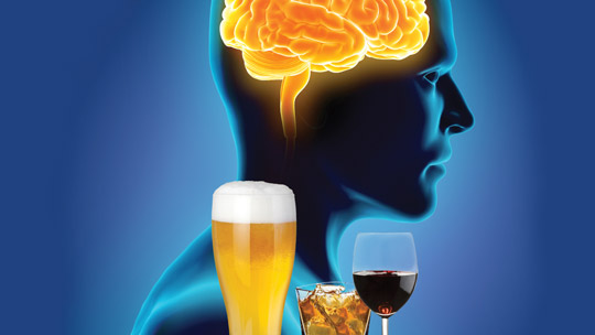 Alcohol and the Developing Brain.