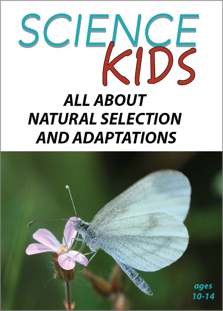 All About Natural Selection and Adaptations: Science Kids Series.