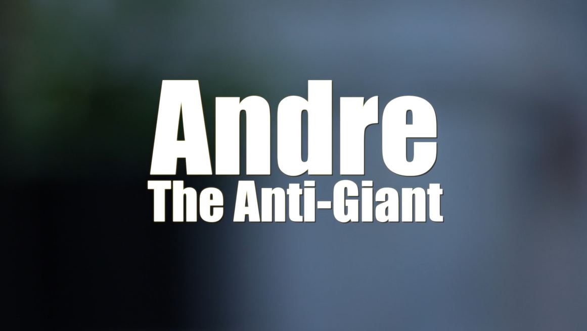 Andre the Anti-Giant.