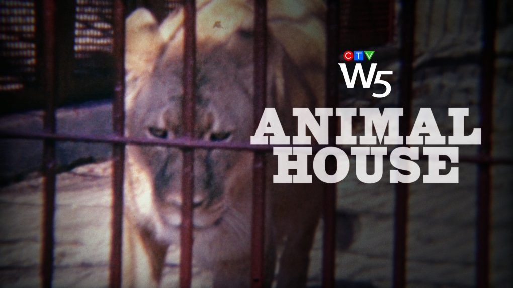 Animal House: W5.