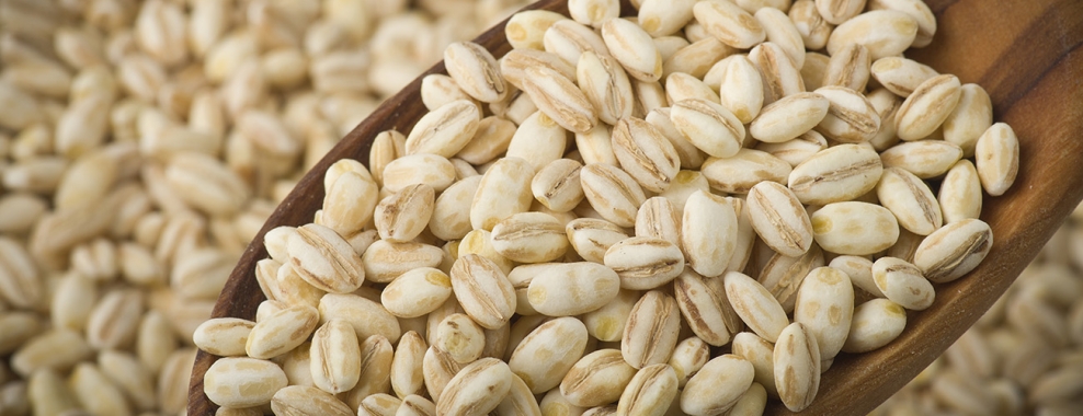 Barley: Ancient Grains - Nutritional Powerhouses Series.