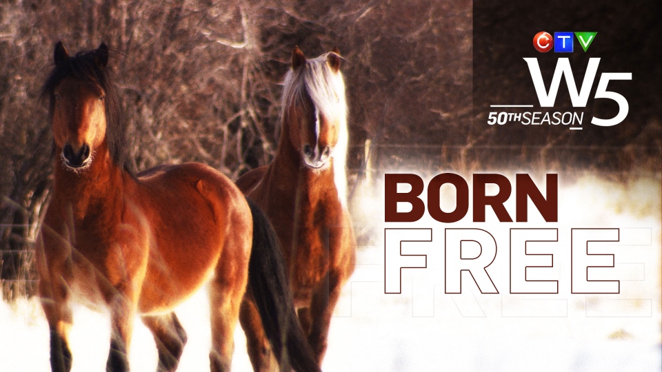 Born Free: W5.