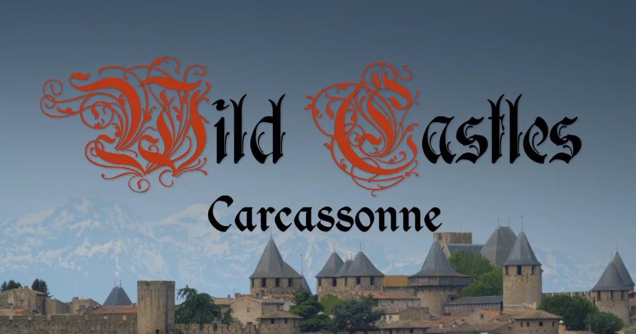 Carcassonne: Wild Castles Series.