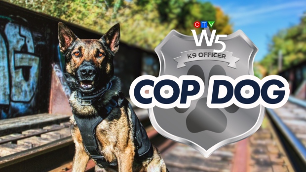 Cop Dog: W5.