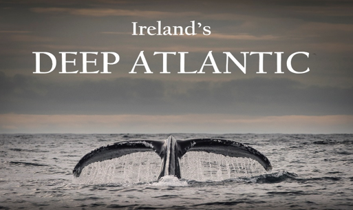 Deep Atlantic: Part II.