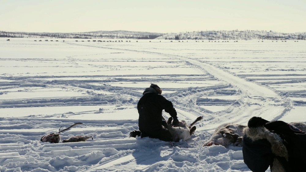 Etthén Heldeli: Caribou Eaters.