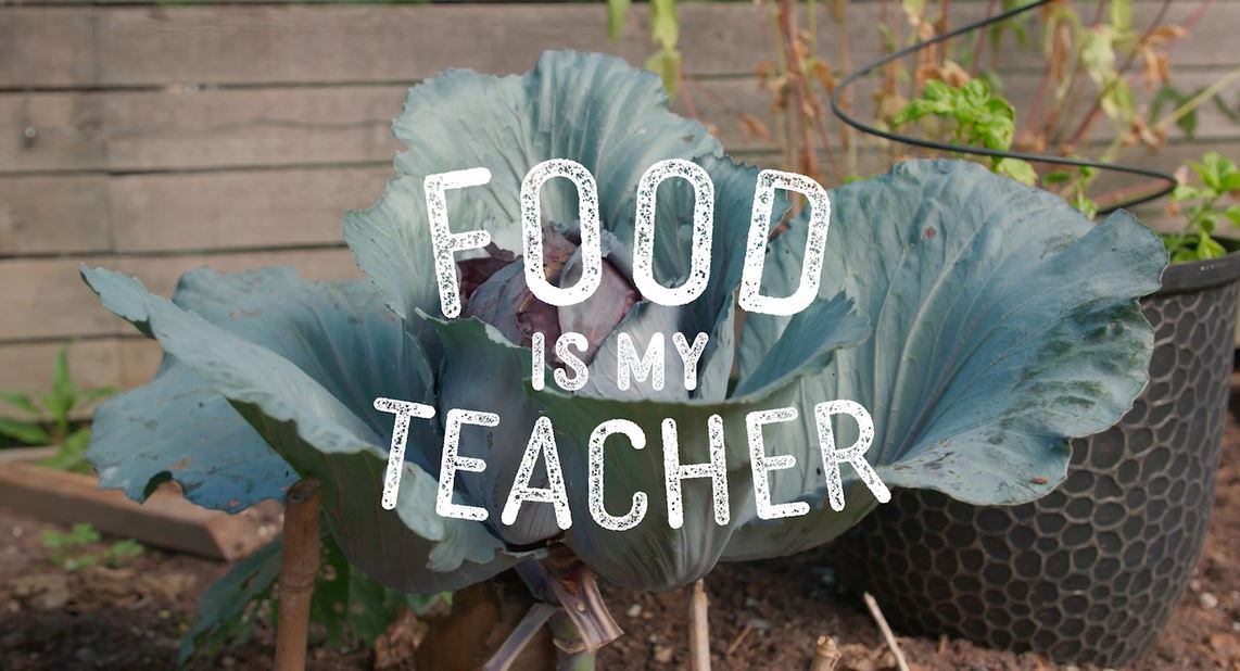 Food is My Teacher (26 Minute Version).