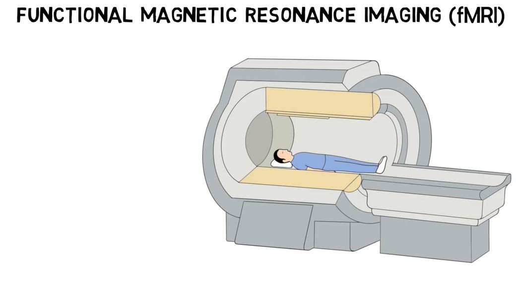 Functional Magnetic Resonance Imaging (fMRI).