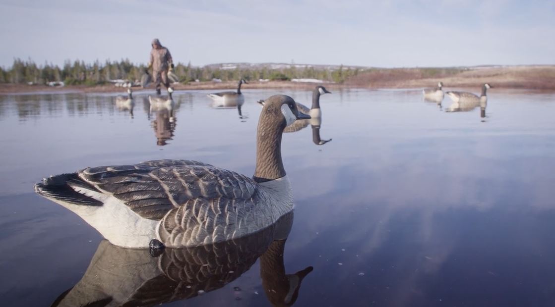 Goose Break: Nation Untamed, Season 1, Ep. 8.