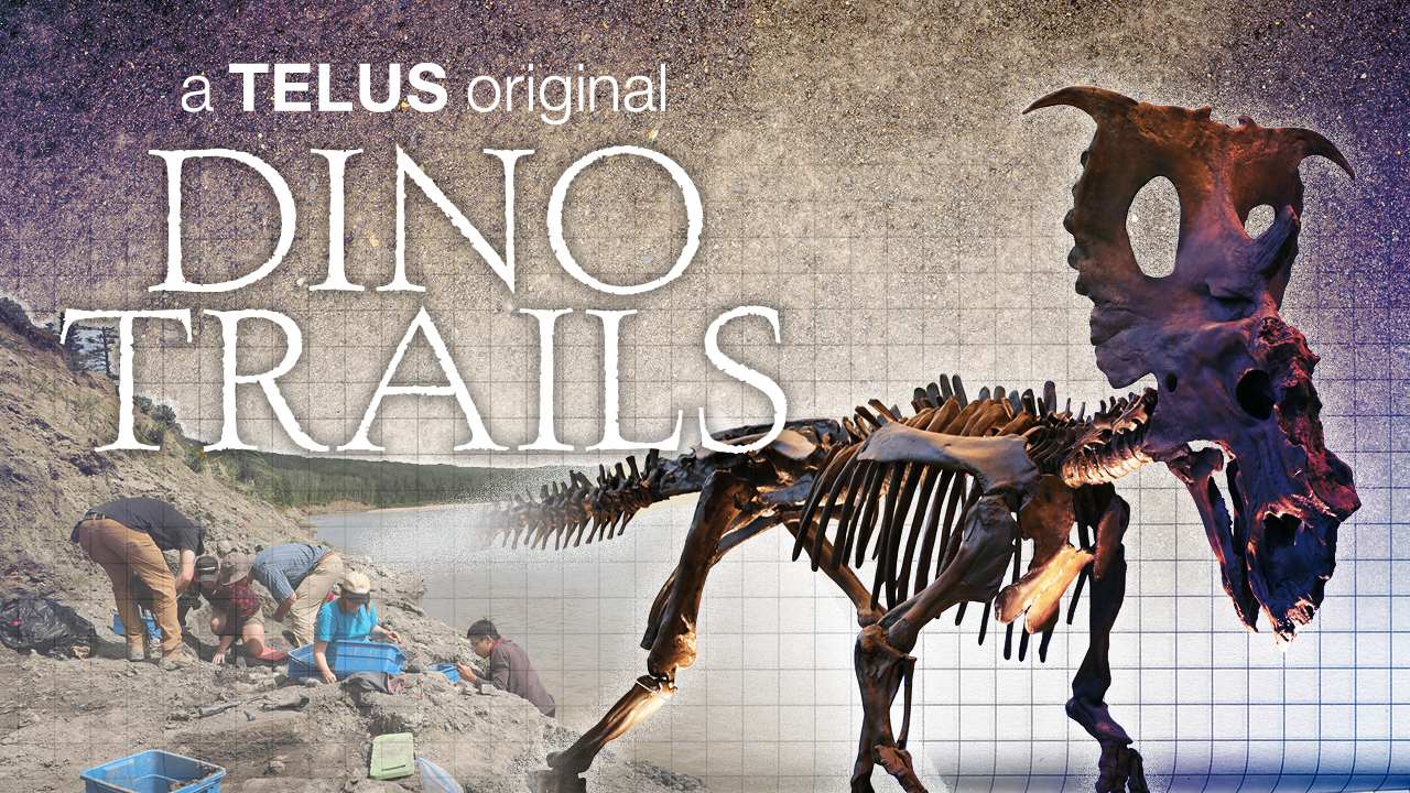 Grande Prairie: Dino Trails. Season 2.