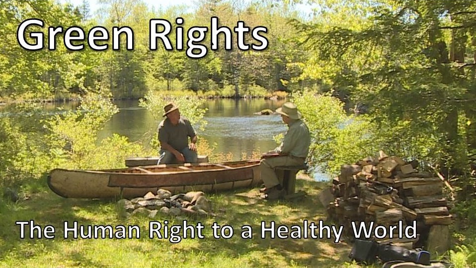 Green Rights - The Human Right to a Healthy World: The Green Interview Series.