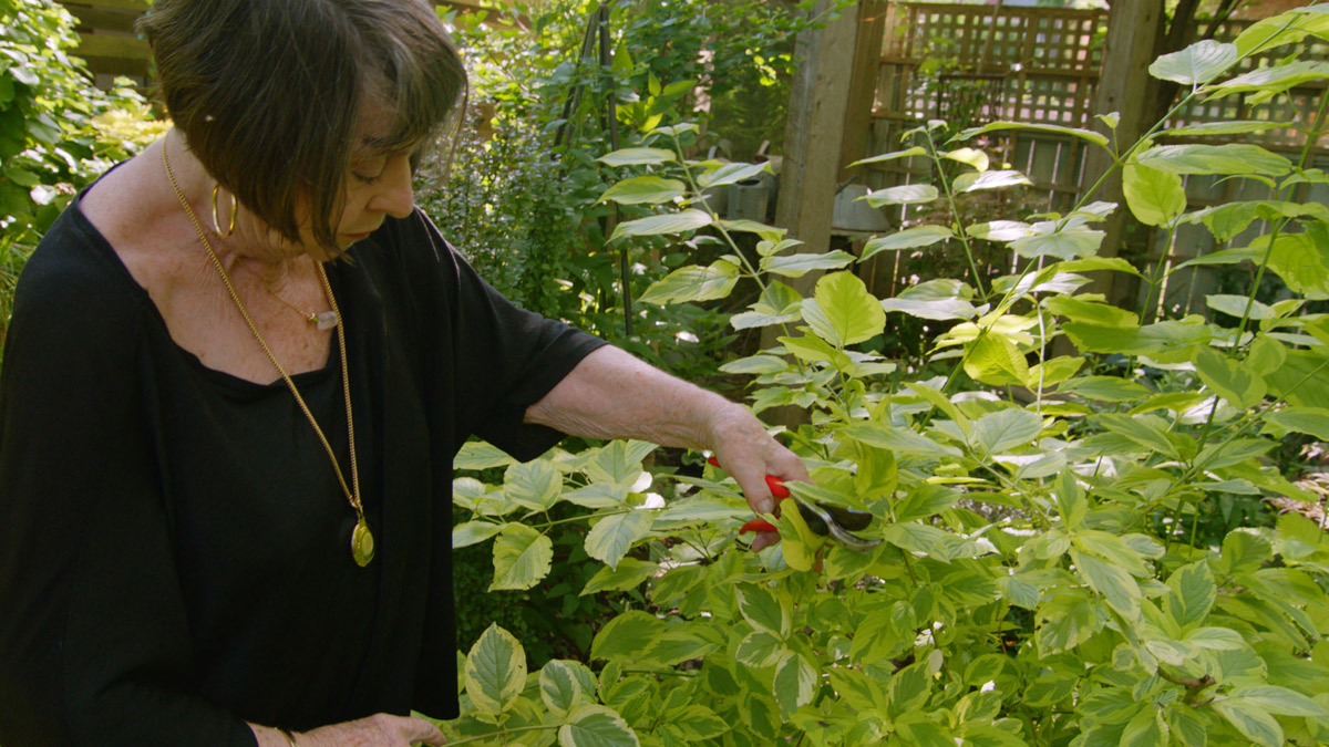 Healing Plants: Ageless Gardens Series, Season 1.