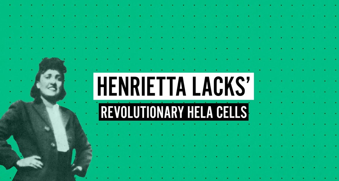 Henrietta Lacks' Revolutionary HeLa Cells: Untold Series.