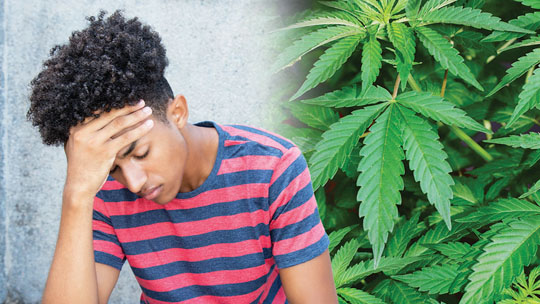 High Potency Marijuana: What Every Teen Needs to Know.