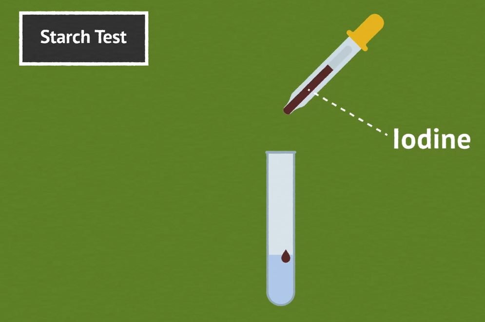 How Do We Test for Biological Molecules?: OUP Biology Series.