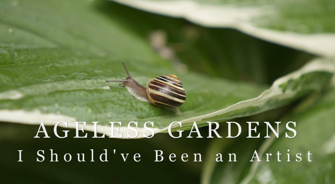 I Should've Been an Artist: Ageless Gardens Season 4 Webisodes.