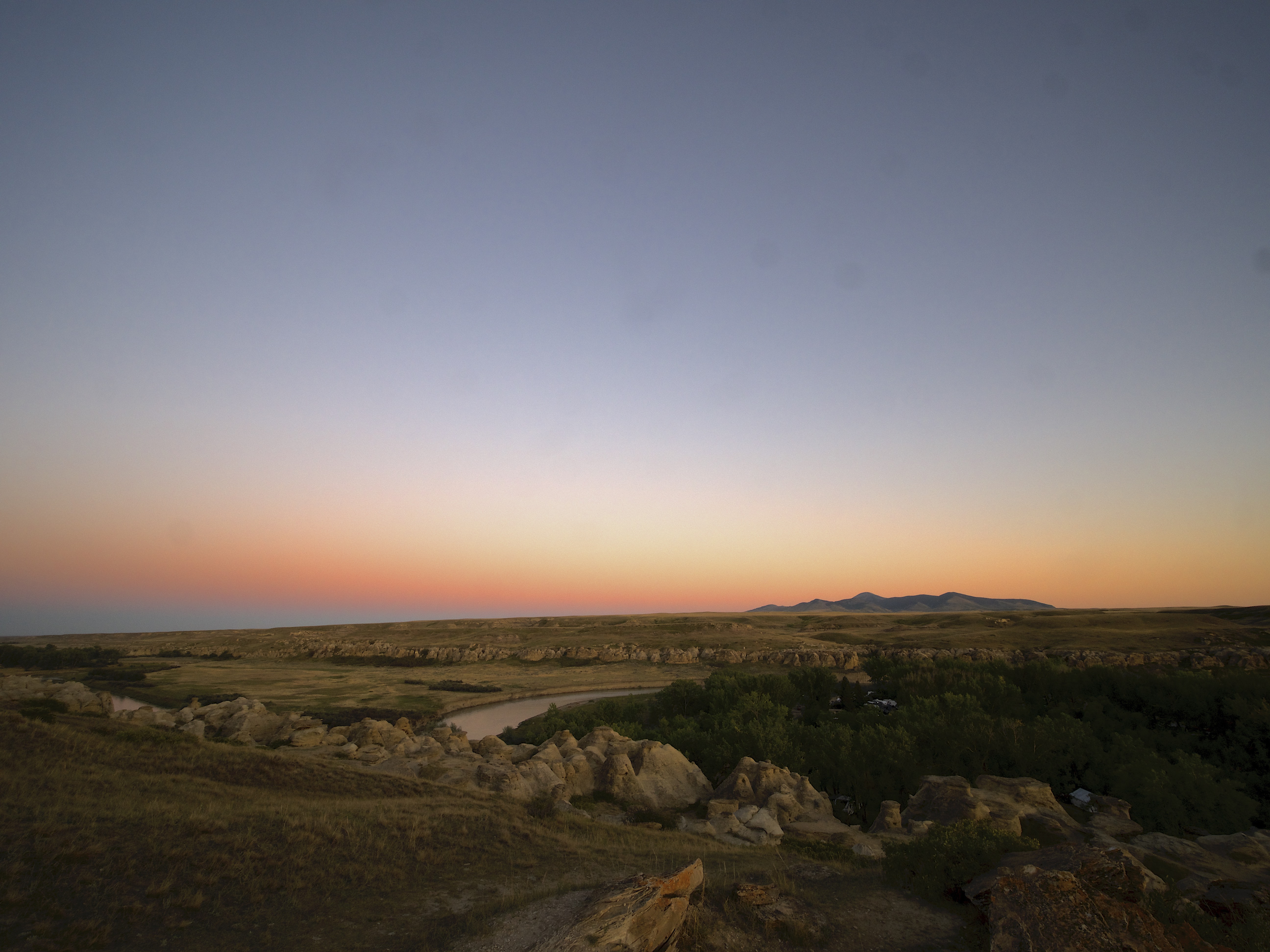 Jumps and Pounds: Bison Return From the Edge of Extinction, Ep. 8.