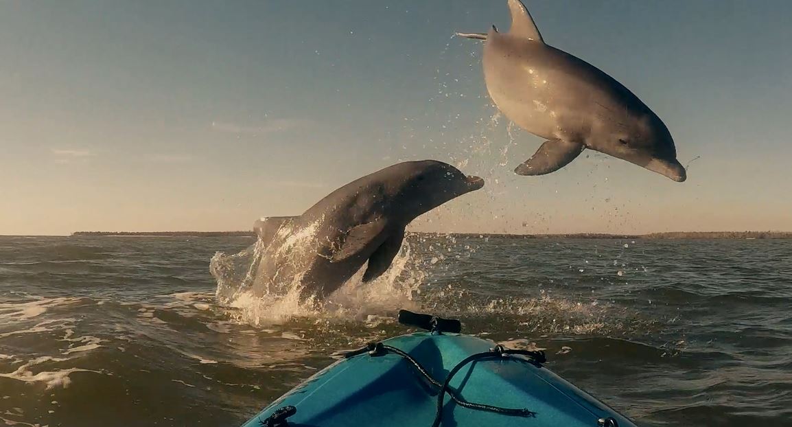 Justin Fisch - Canoe-Kayak in Florida: Adventure Guides, Season 4.