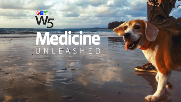 Medicine Unleashed: W5.