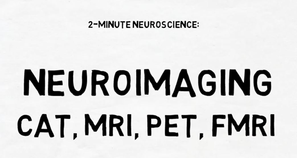 Neuroimaging.