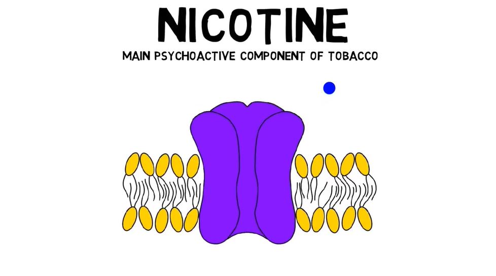 Nicotine.