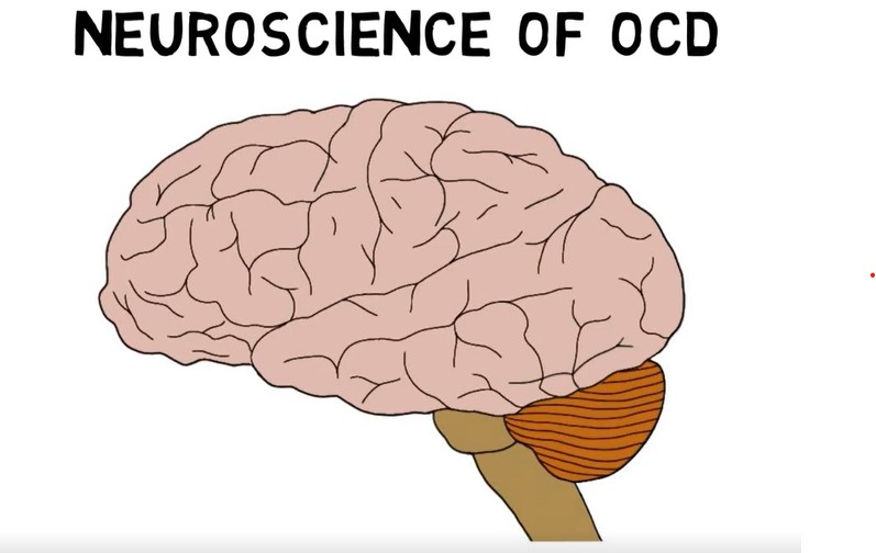 Obsessive-Compulsive Disorder (OCD).