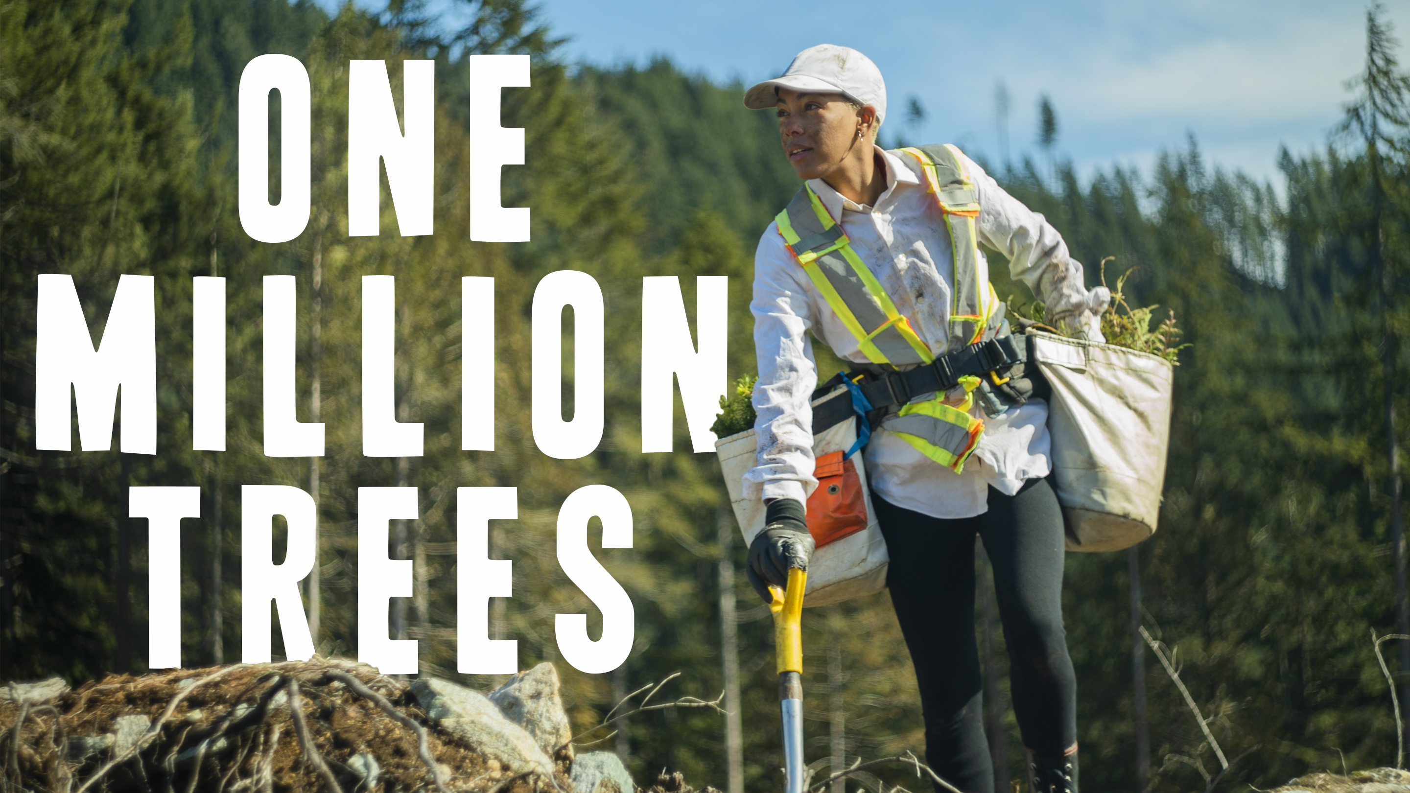 One Million Trees.