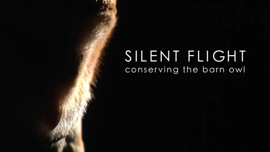 Silent Flight: Conserving the Barn Owl.