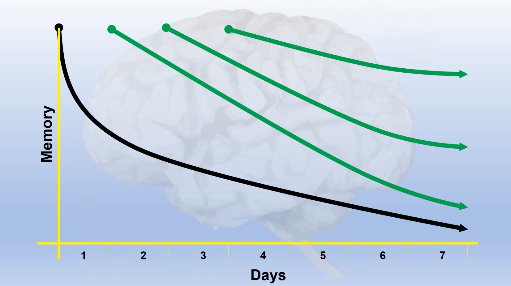 Spaced Repetition: Dynamic Learning, the Power of Habits.