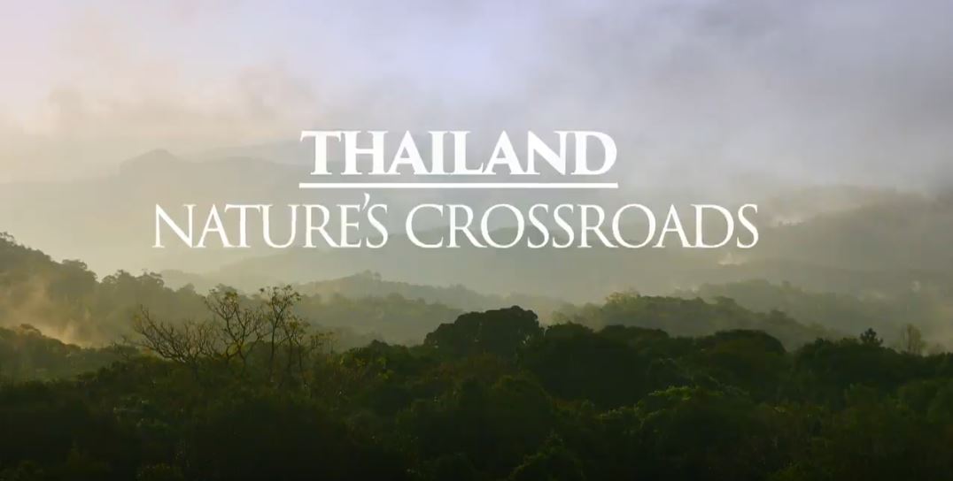 Thailand - Nature's Crossroads: Mysteries of the Mekong Series.