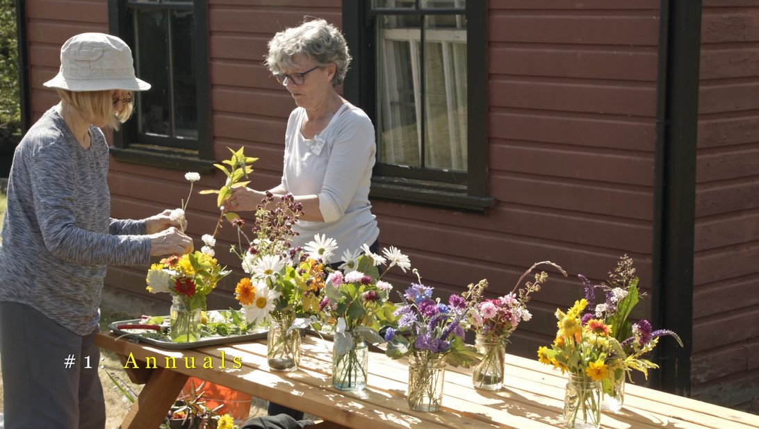 The 7 stages of gardening