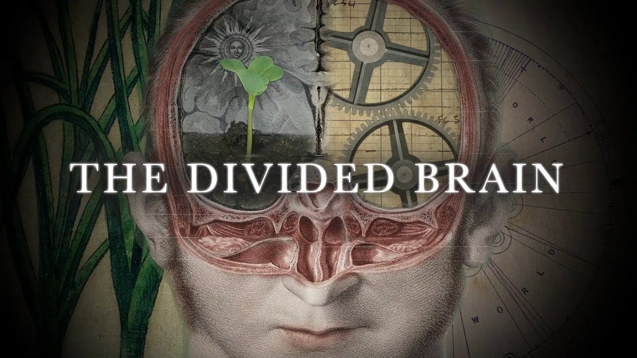 The Divided Brain (53 Minute Version).