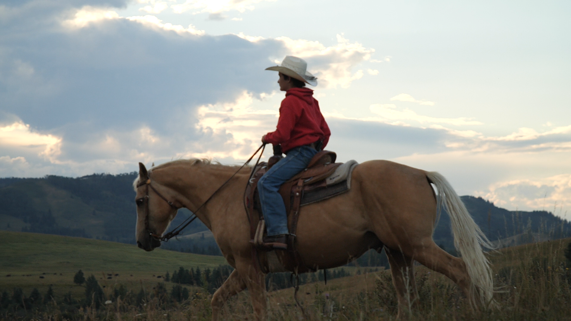 The Métis of Alberta: re:LOCATION: How Uprooted Communities Fight to Survive Series.