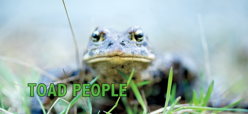 Toad People: What Does it Take to Save a Species? (52 Minute Version).