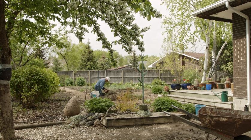 Victor Cicansky: The Gardener's Universe.