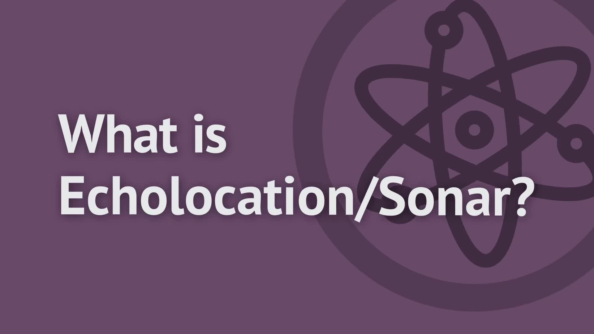 What is Echolocation/Sonar?: OUP Physics Series.