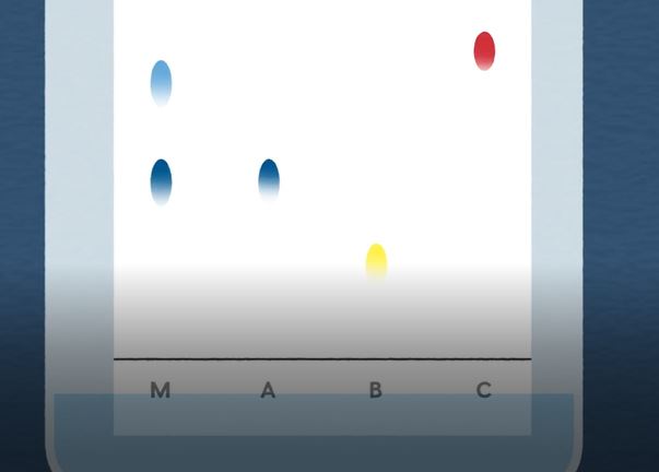 What is Paper Chromatography?: OUP Chemistry Series.