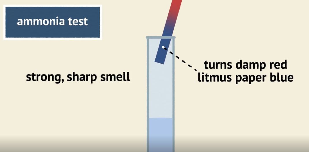 What Tests Can Detect the Presence of Certain Gases?: OUP Chemistry Series.