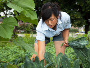 Women for the Planet