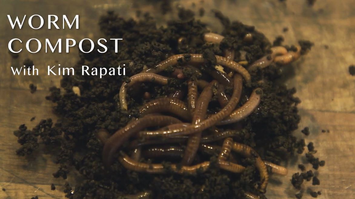 Worm Compost with Kim Rapati: Food for The Rest of Us Webisodes.