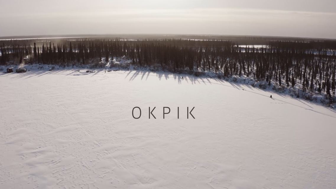 Okpik: Little Village in the Arctic (Inukvialuktun Version).