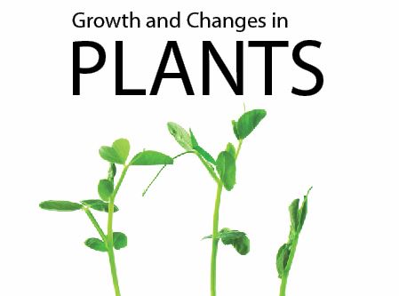 Growth and Changes in Plants.