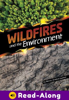 Wildfires and the environment