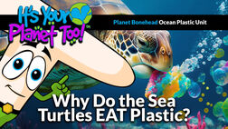 Unraveling the Plastic Threat to Sea Turtles