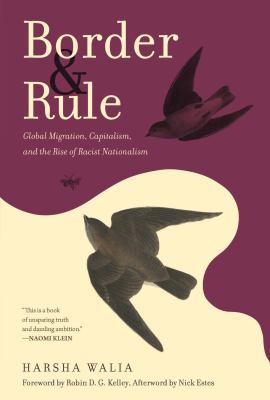 Border and rule : global migration, capitalism and the rise of racist nationalism