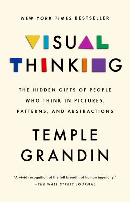 Visual thinking : the hidden gifts of people who think in pictures, patterns, and abstractions