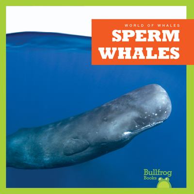 Sperm whales