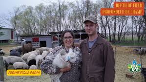 Ferme Fiola Farm - Ste-Geneviève, MB