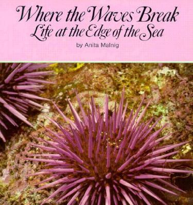 Where the waves break : life at the edge of the sea